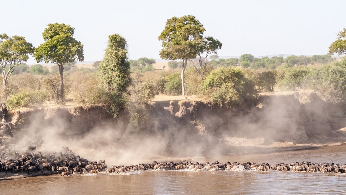 Safari por el norte de Tanzania: Tarangire, Serengeti y el cráter del Ngorongoro en una sola travesía