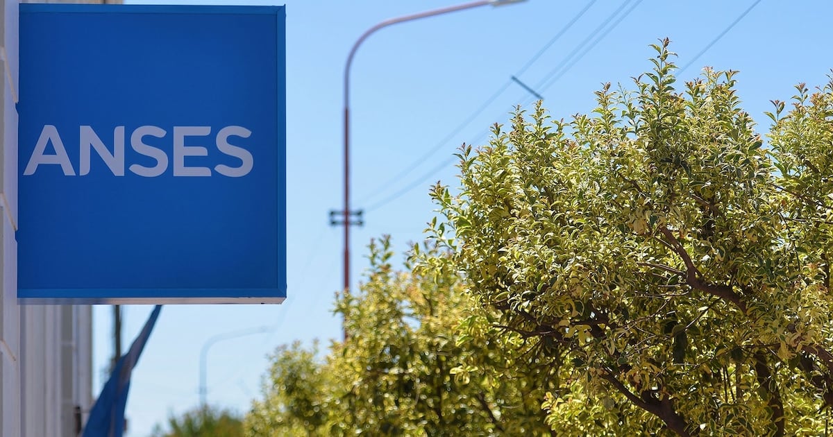 Calendario de ANSES para DNI terminado en 2: jubilaciones, AUH y Prenental concentran los pagos entre el 9 y el 26 de octubre