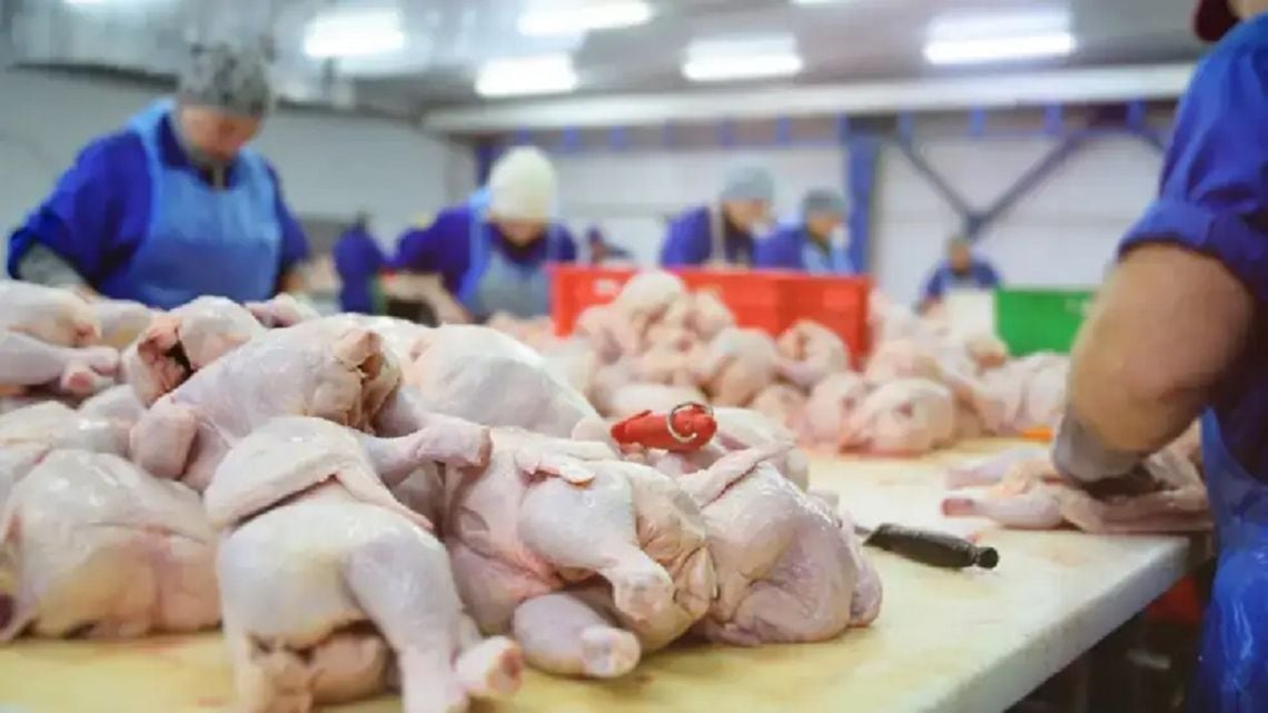 El kilo de pollo ya manda en la mesa argentina: superó por primera vez a la carne vacuna en el consumo anual