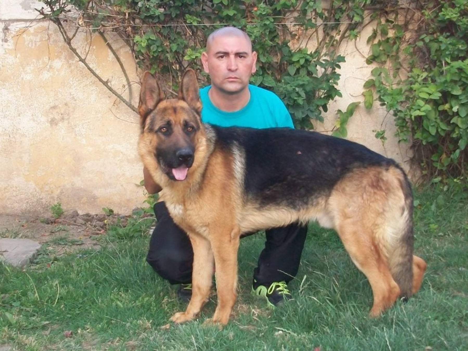 A juicio el adiestrador que aportó pruebas con perros en la causa por el femicidio de Araceli Fulles