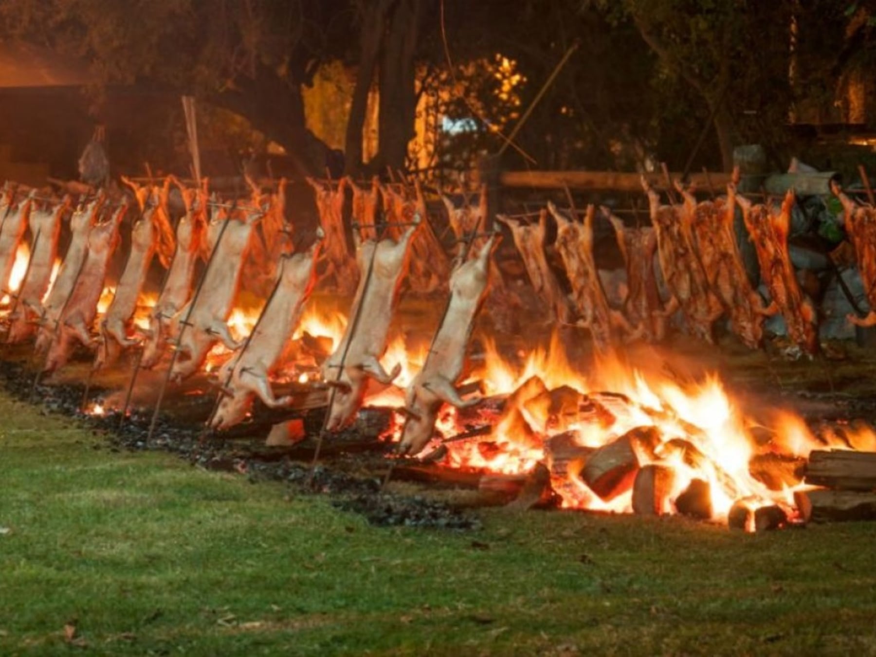 Siete paradas para recorrer la provincia de Buenos Aires entre sabores, tradiciones y oficios