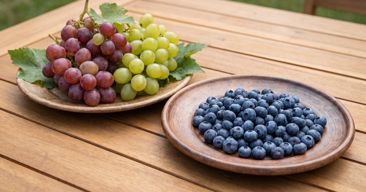 Arándanos o uvas en la mesa de los argentinos: qué fruta convence más al azúcar en sangre y por qué importa lo que se le pone al lado