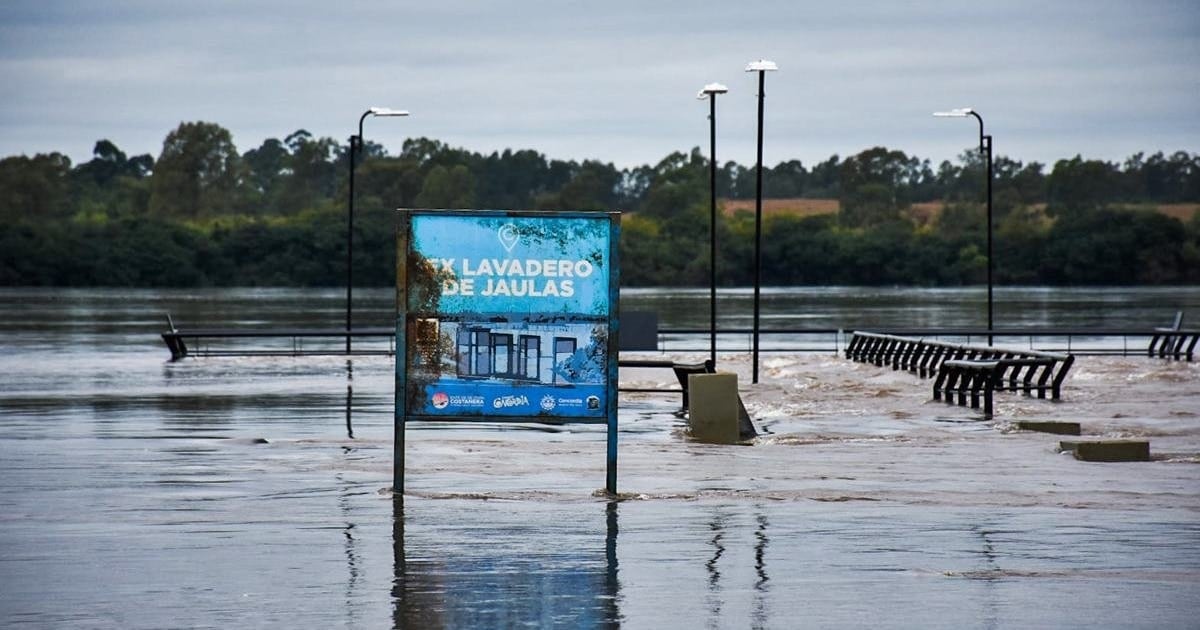 El Niño empuja al Río Paraná a caudales históricos y la carne vacuna ya anticipa subas de hasta 10% antes de fin de año