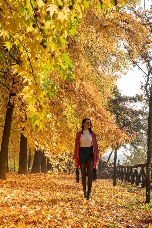 El otoño europeo abre una ventana para recorrer capitales sin las multitudes del verano