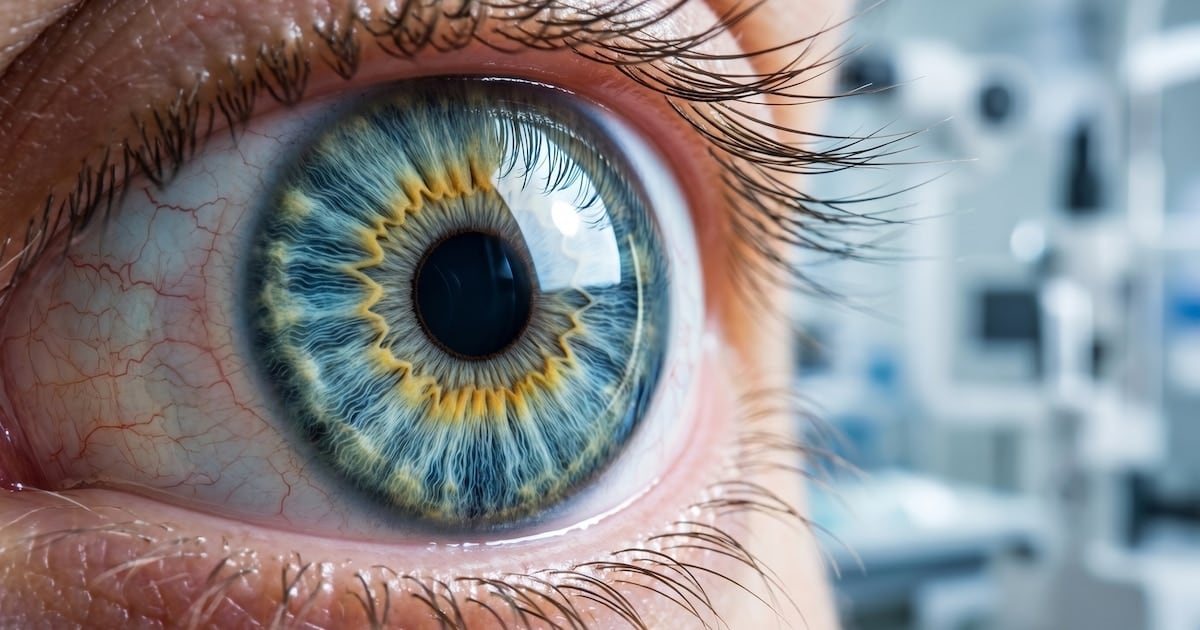 Una proteínaNar.prototype developed in Argentina could prevent corneal damage from chemical burns